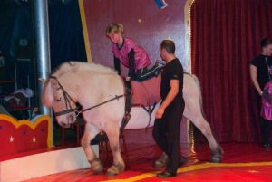 Zirkus